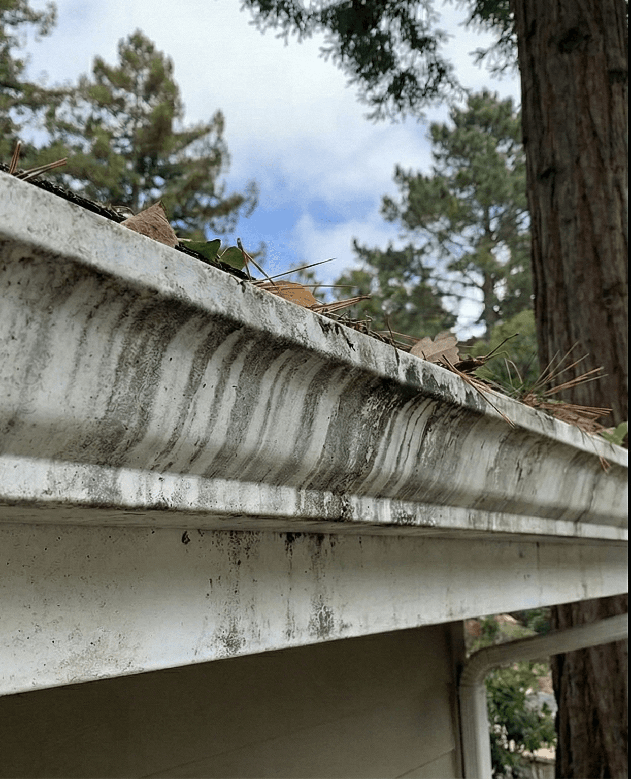 Before — Gutter Cleaning & Exterior Flush — Washington Park