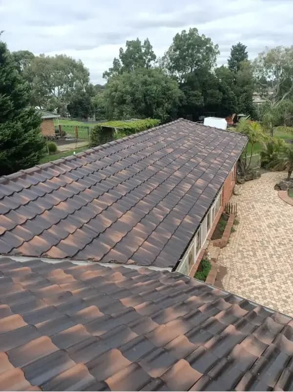 Concrete Barrel Tile Roof Restoration & Lichen Treatment. After