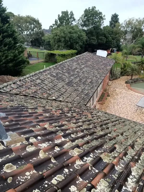 Concrete Barrel Tile Roof Restoration & Lichen Treatment. Before
